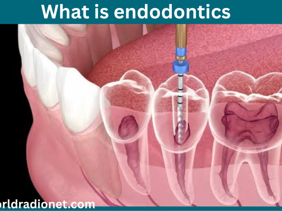 what is endodontics