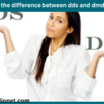 what is the difference between dds and dmd degree