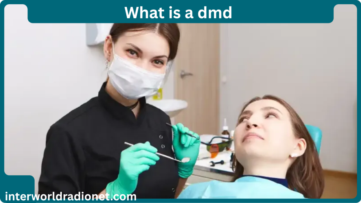 what is a dmd