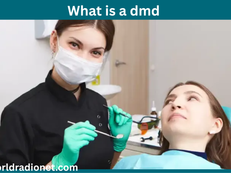 what is a dmd​