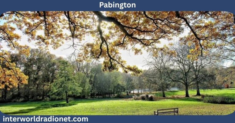 Pabington: Meaning, Fictional Setting Ideas, Uses, and Creative World-Building Guide