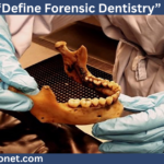 define forensic dentistry