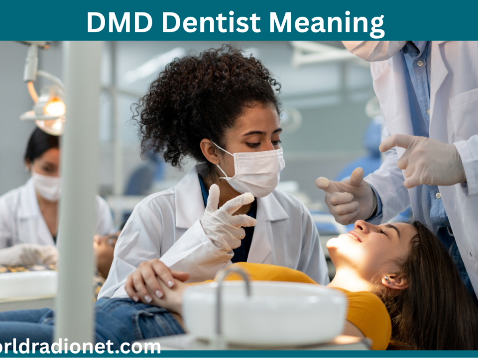 DMD Dentist Meaning